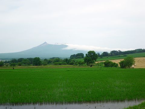 http://www.onuma-guide.com/diaryblog/2012/07/21/2012_0701_104112_R.jpg