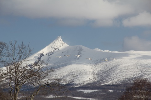 白鳥と駒ヶ岳005.JPG