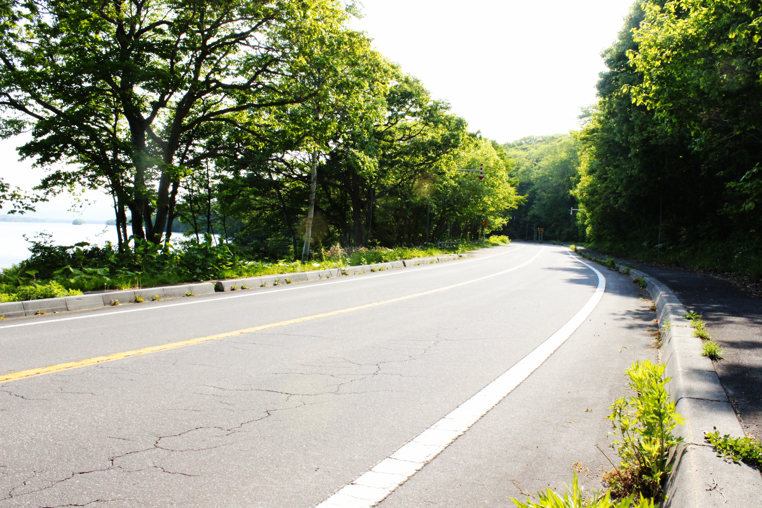 新緑遊歩道 (37).JPG