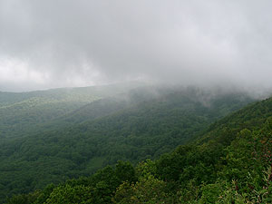 07180006.jpg