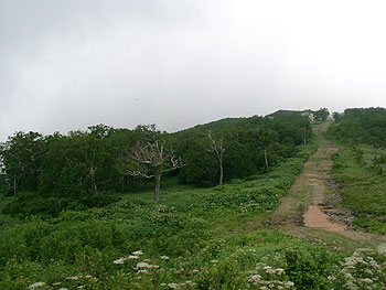 07180024.jpg