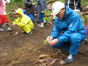 20080601141614[1].jpg