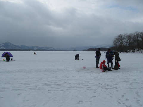 IMG_0229.JPG