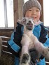 山羊のチーズ作り・販売が始まりました・・　【山田農場チーズ工房】
