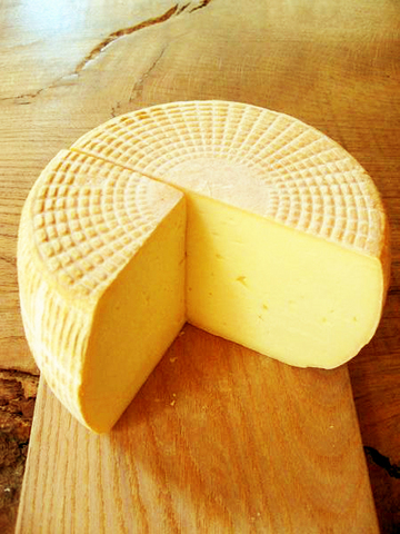 チーズと畑 013_R.jpg