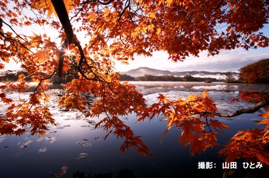 10月101「朝日に染まる」.jpg