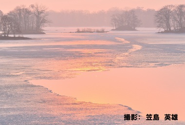 3月140「桜色の春みなも」.jpg