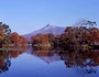 大沼国定公園　紅葉情報