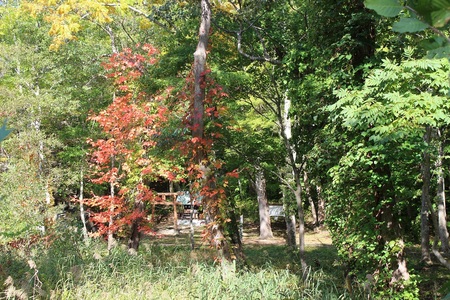 駒ヶ岳神社１.JPGのサムネイル画像のサムネイル画像