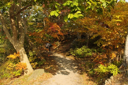 10.22島巡りの路②.JPG