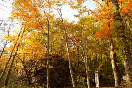 10.28駒ヶ岳神社.JPG