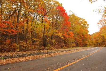 11.3一周道路.JPG