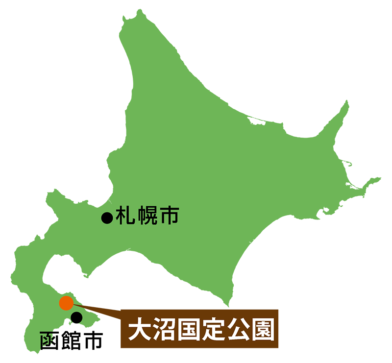 北海道 情報 jr 運行 運行情報サイト更新状況