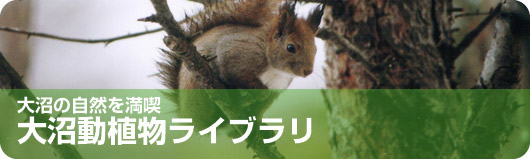 大沼動植物ライブラリ