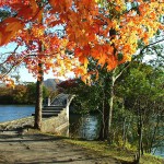 八つ橋と紅葉