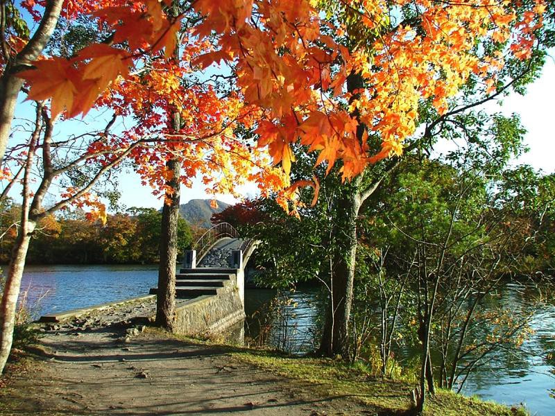 八つ橋と紅葉