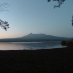 大沼湖畔の湿地 夕方