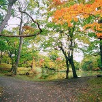 大沼湖畔散策路石楠花橋を望む