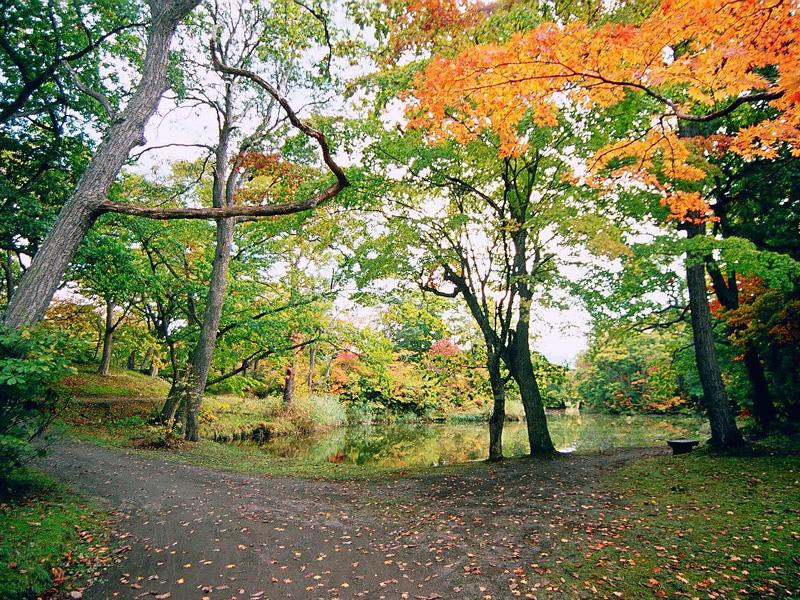  	 大沼湖畔散策路石楠花橋を望む