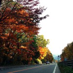 大沼公園駅近くの紅葉