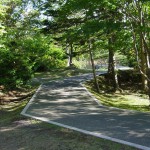 東大島橋の手前