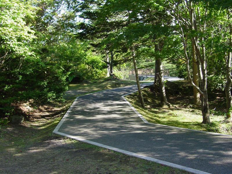 東大島橋の手前