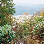 日暮山頂上からの蓴菜沼の眺め