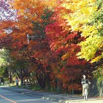 JR大沼公園駅近く