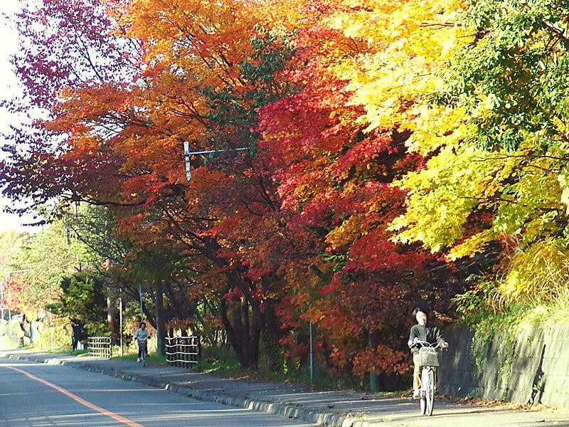 JR大沼公園駅近く