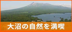 大沼の自然を満喫