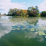 大沼湖畔（リバージュ付近）