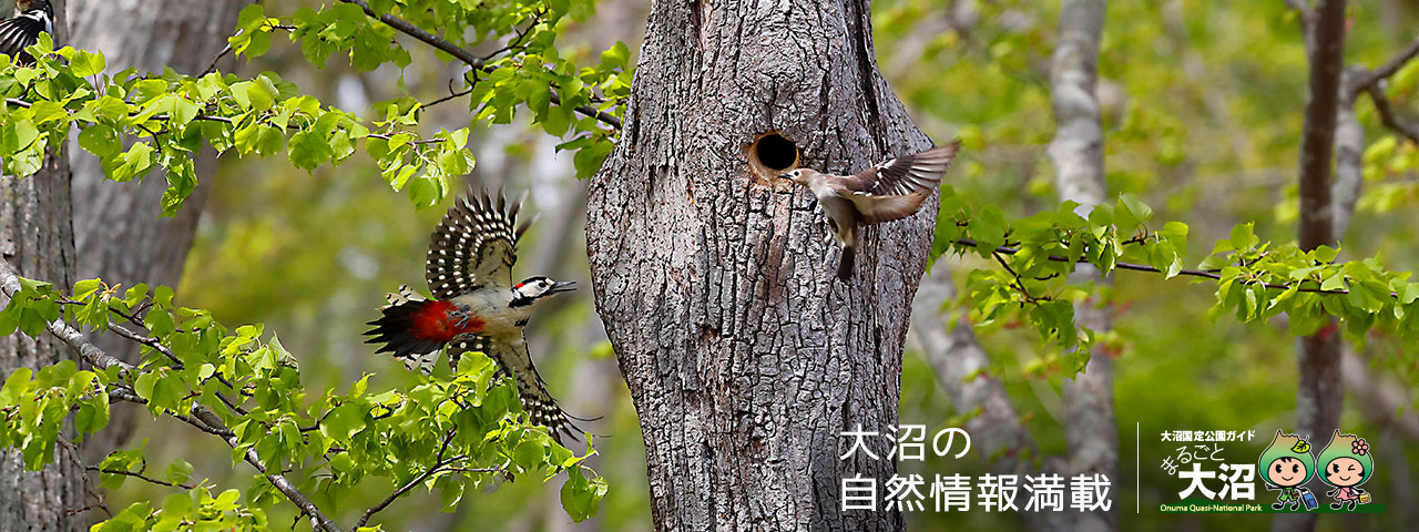 10月1日　ワカサギ漁解禁