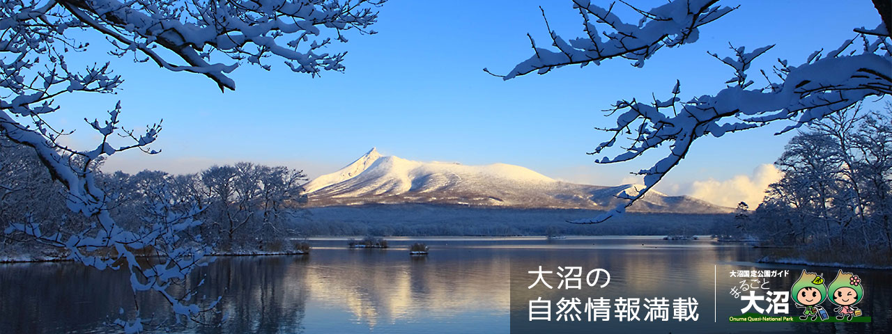 鏡の湖面と秋雲と